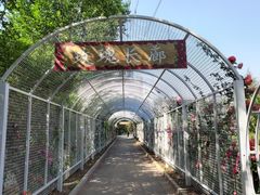 -太阳宫公园