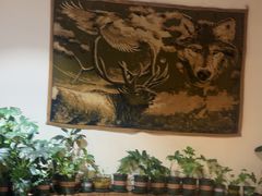 -草原塞蛮羊火锅城(港湾店)