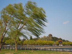 iphone_upload_pic-景山公园