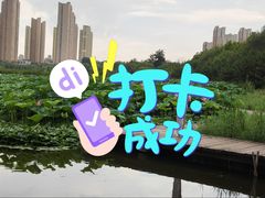-前关湿地公园
