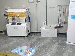 -东莞宠友24H宠物中心医院·转诊夜诊·异宠(新河北路院)