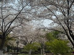 -范蠡湖公园