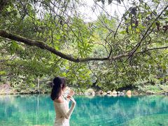-石台牯牛降景区