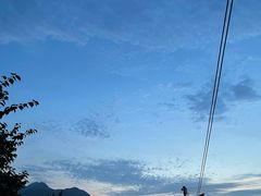 -广州市流溪河国家森林公园