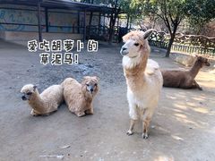 -杭州野生动物世界