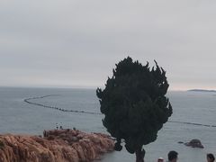 -小麦岛公园