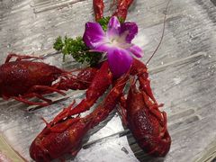 -京悦南门涮羊肉·羊蝎子火锅(田林路店)