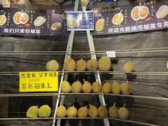 -都念榴莲·城市榴莲