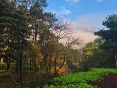 -福清灵石山国家森林公园