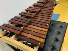 -美育儿童音乐舞蹈国际机构(浦东分校)