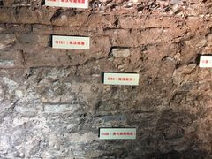 -南越王博物院(王宫展区)