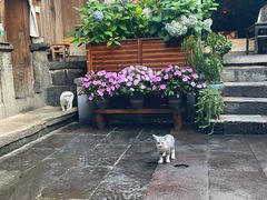 -龙姐私房菜(和顺古镇店)