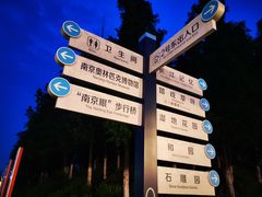 -南京眼步行桥