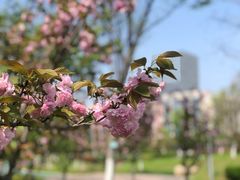 -中国银行江苏省分行培训中心