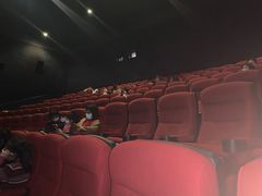 -万达影城(锦华万达广场IMAX店)