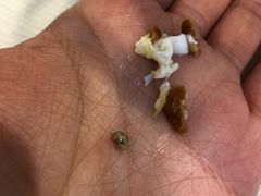 老马家国华牛奶鸡蛋醪糟-清真老马家国华牛奶鸡蛋醪糟(正宁路店)