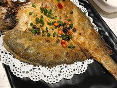 -九府羊·鲜羊火锅·烤串(新华路店)