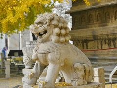 -北京石刻艺术博物馆(五塔寺)