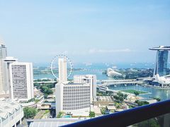 -新加坡瑞士史丹福酒店