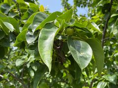 -长兴太湖图影湿地文化园