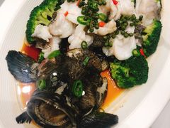-南海渔村(火炬园店)