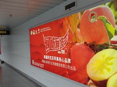 -乌鲁木齐天山国际机场-T3航站楼