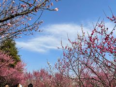 -白塘生态植物园