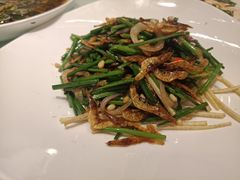 韭菜花炒樱花虾-汤记传菜(浦江店)