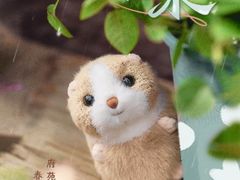 -七彩云南第壹城