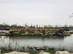 -泗洪洪泽湖湿地景区
