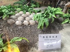 -延庆地质公园博物馆