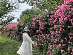 -太阳宫公园