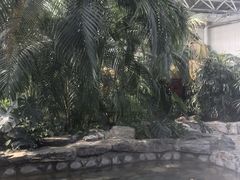 -中家鑫园温泉酒店鑫悦汤泉