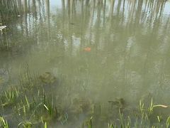 -上海浦江郊野公园-5号停车场