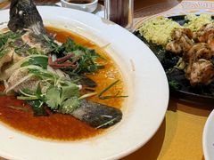 -金燕岛潮州酒楼