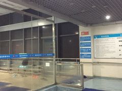 -莲花体育中心