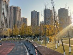 -府河摄影公园