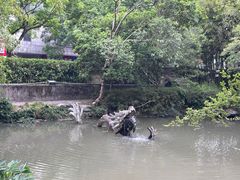 -汇龙潭