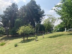 -铁山坪森林公园