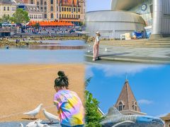 -烟台海昌鲸鲨海洋公园