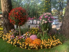 -上海共青森林公园