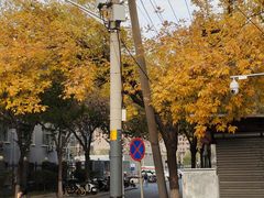 -知春路(地铁站)