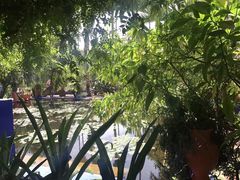 -马洛雷勒花园