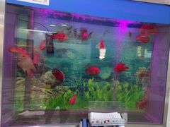-雅悦齿科(顾村公园店)