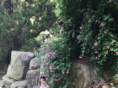 -白马涧龙池景区