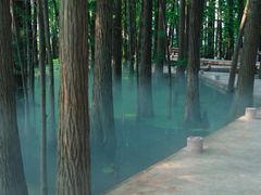 -东湖落雁景区