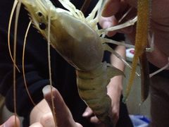 -小象钓虾·营地烧烤(洛溪店)