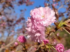 -长白岛森林公园