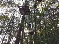 -衢州大荫山丛林飞越探险乐园