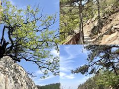 -沂蒙山旅游区龟蒙景区
